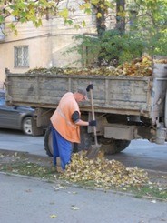 В Крыму штрафуют поджигателей листвы 