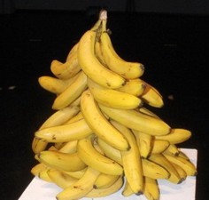 В Севастополе елки будут делать из бананов
